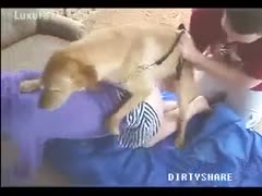 A woman gets help to have a successful dog fuck.